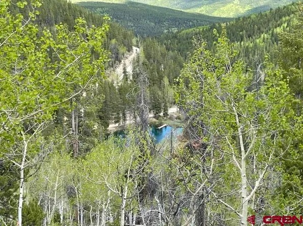 1675 Chicago Park Road, Pitkin, CO 81241