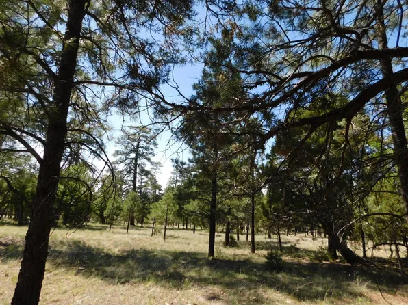 4890 Juniper Dr, Happy Jack, AZ 86024