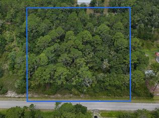 9935 McMahon Ave, Hastings, FL 32145