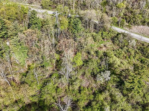 5th image of 0 Mineral Springs Rd