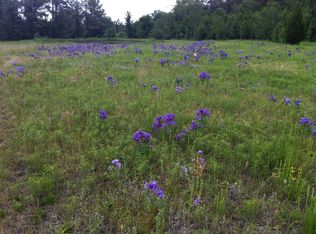 350 Bowden Ln, Coldspring, TX 77331