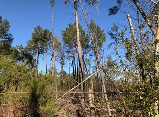 Tbd Curtis Black Rd, Hallsville, TX 75650