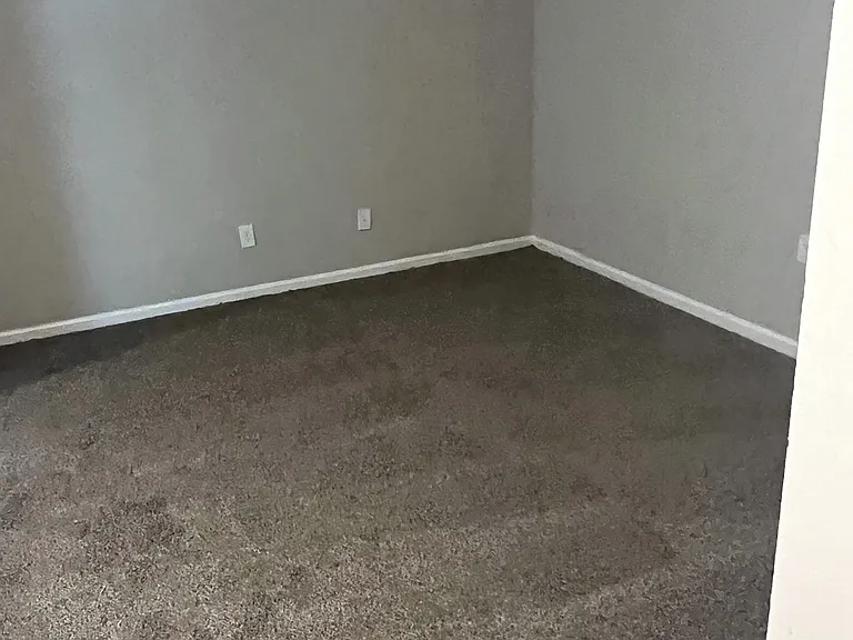115 Walnut St — Photo 6