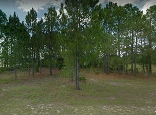 1216 Wahneta Dr, Poinciana, FL 34759