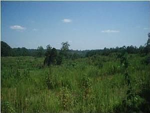 4th image of 566 Evergreen Dr