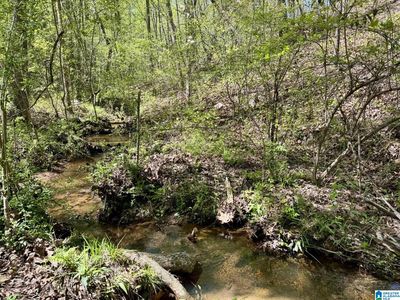 TRACT 6 County Road 268, Roanoke, AL, 36274