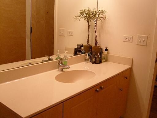 3rd image of 1620 S Michigan Ave Unit 423