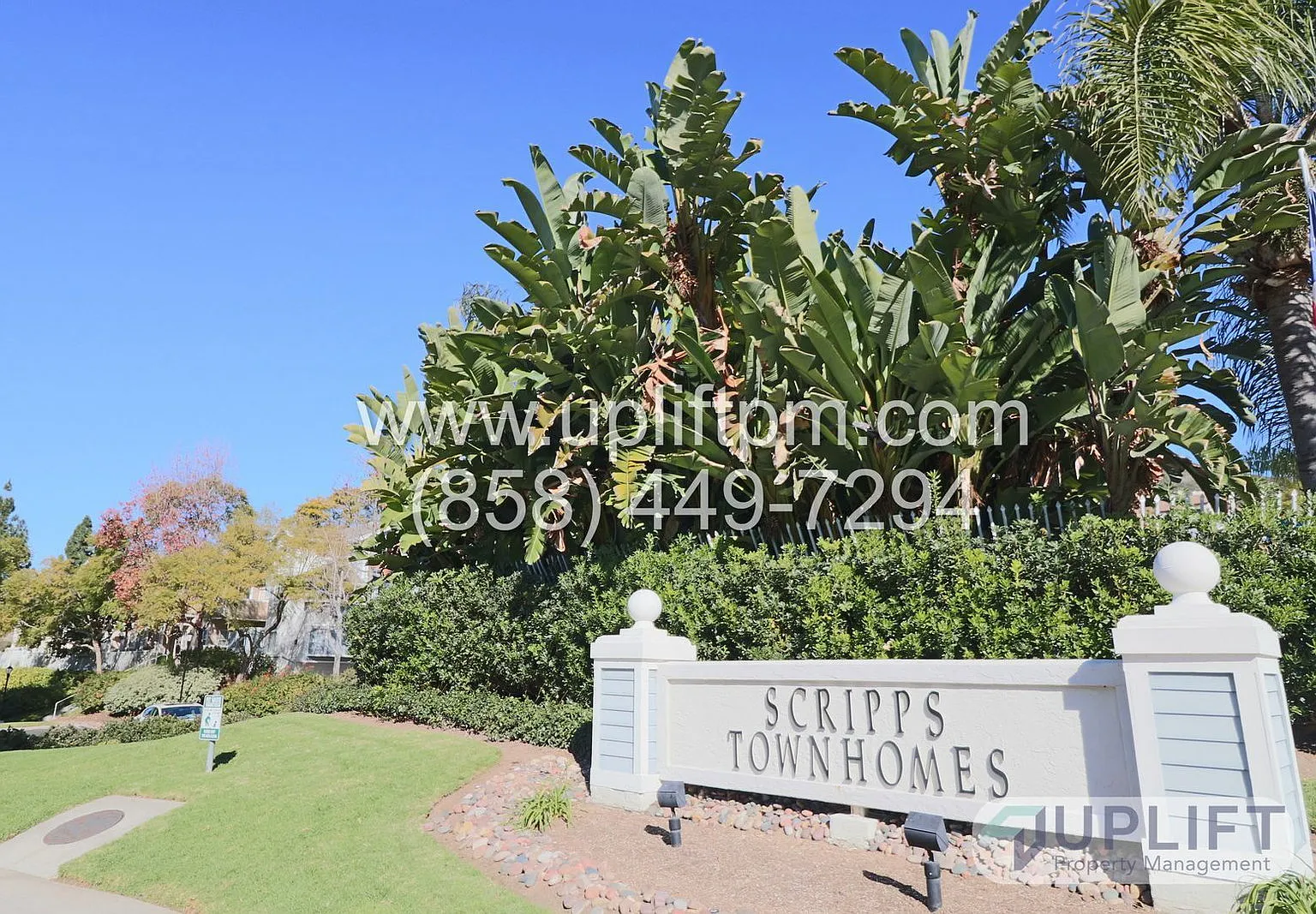 2 bed, 2.5 bath, 1216 sqft, $3,450 — Photo 1