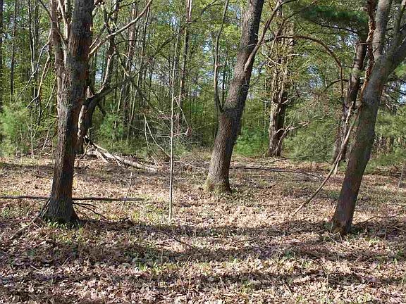 4th image of 3435 Lost Lake Rd
