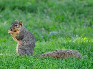 323 W Graysville St, Sullivan, IN 47882