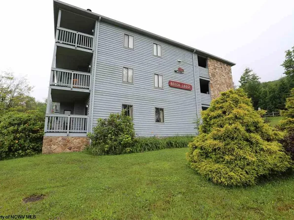 1240 Beech Lodge Ct, Davis, WV 26260