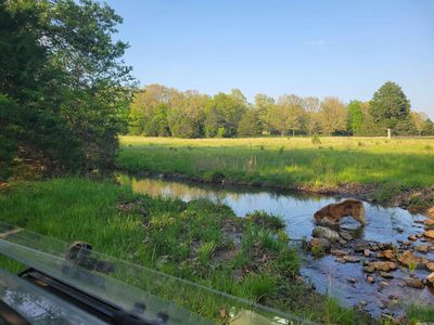 0 County Road 6890, West Plains, MO, 65775