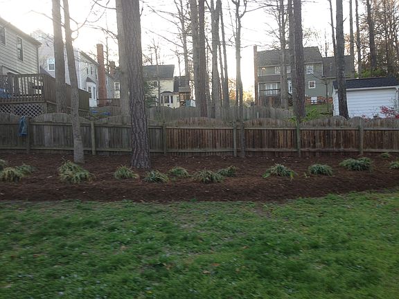 4th image of 11306 Eastcliff Dr