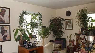 5th image of 109 Arnett Ave