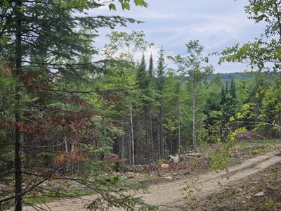 22-03 Rowell Mountain Road, Solon, ME, 04979