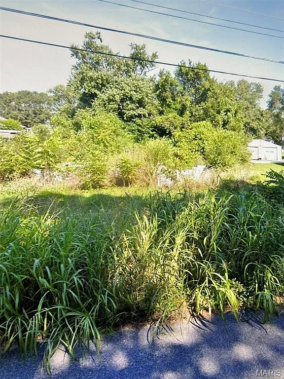 1623 Upper Cahokia Rd photo 1