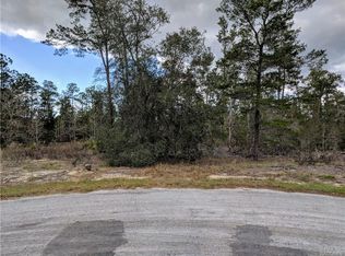 14 Crossandra Ct W, Homosassa, FL 34446