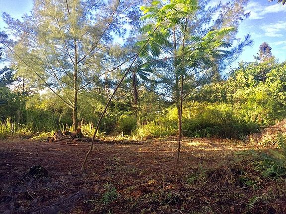2nd image of 15-1114 Railroad Ave Lot 363