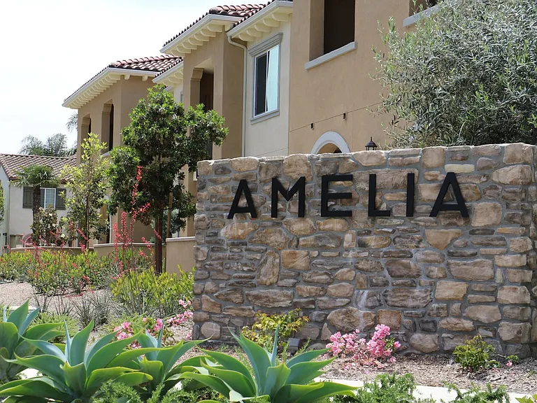 Amelia — Photo 24
