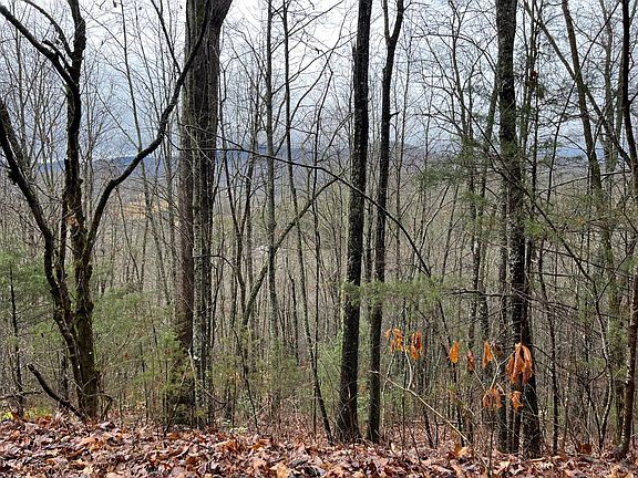 4th image of 230 Mountain Cir