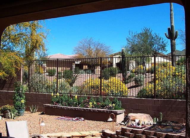 view from patio