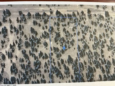 Goose Loop, Alturas, CA, 96101