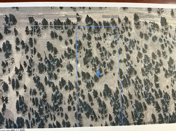 Goose Loop, Alturas, CA 96101