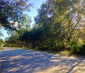 316 Raccoon St, Lake Mary, FL, 32746