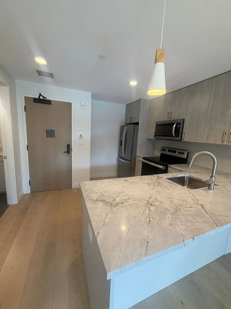 Beautiful Apartment in Allston — Photo 2