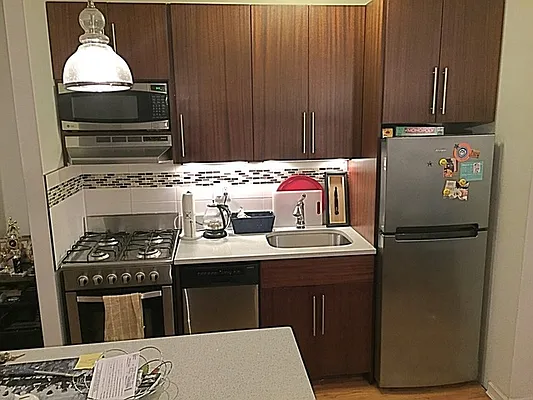 Rented by Rapid Realty Cobble Hill | media 29