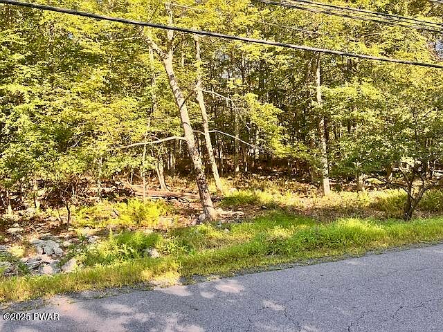 2nd image of Aspen Dr