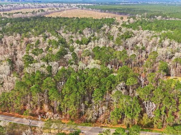 Highway 449, Pine Grove, LA 70453