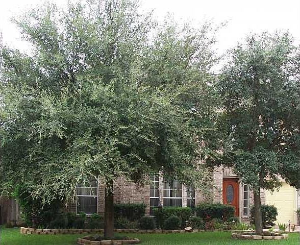 1st image of 8231 Broken Branch Dr