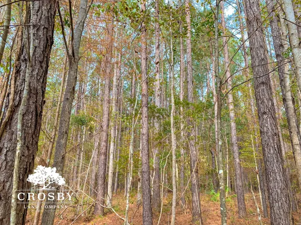 0 Possum Point Rd SW, Townsend, GA 31331