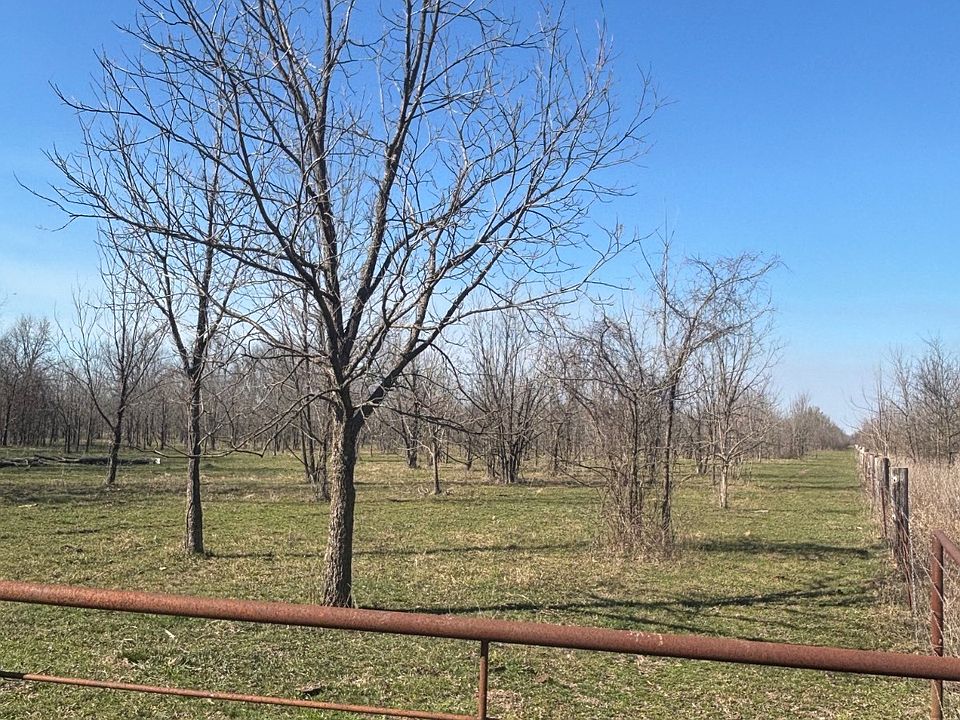 1st image of Red Sough