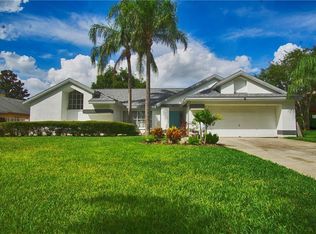 1597 Powder Ridge Dr, Palm Harbor, FL 34683