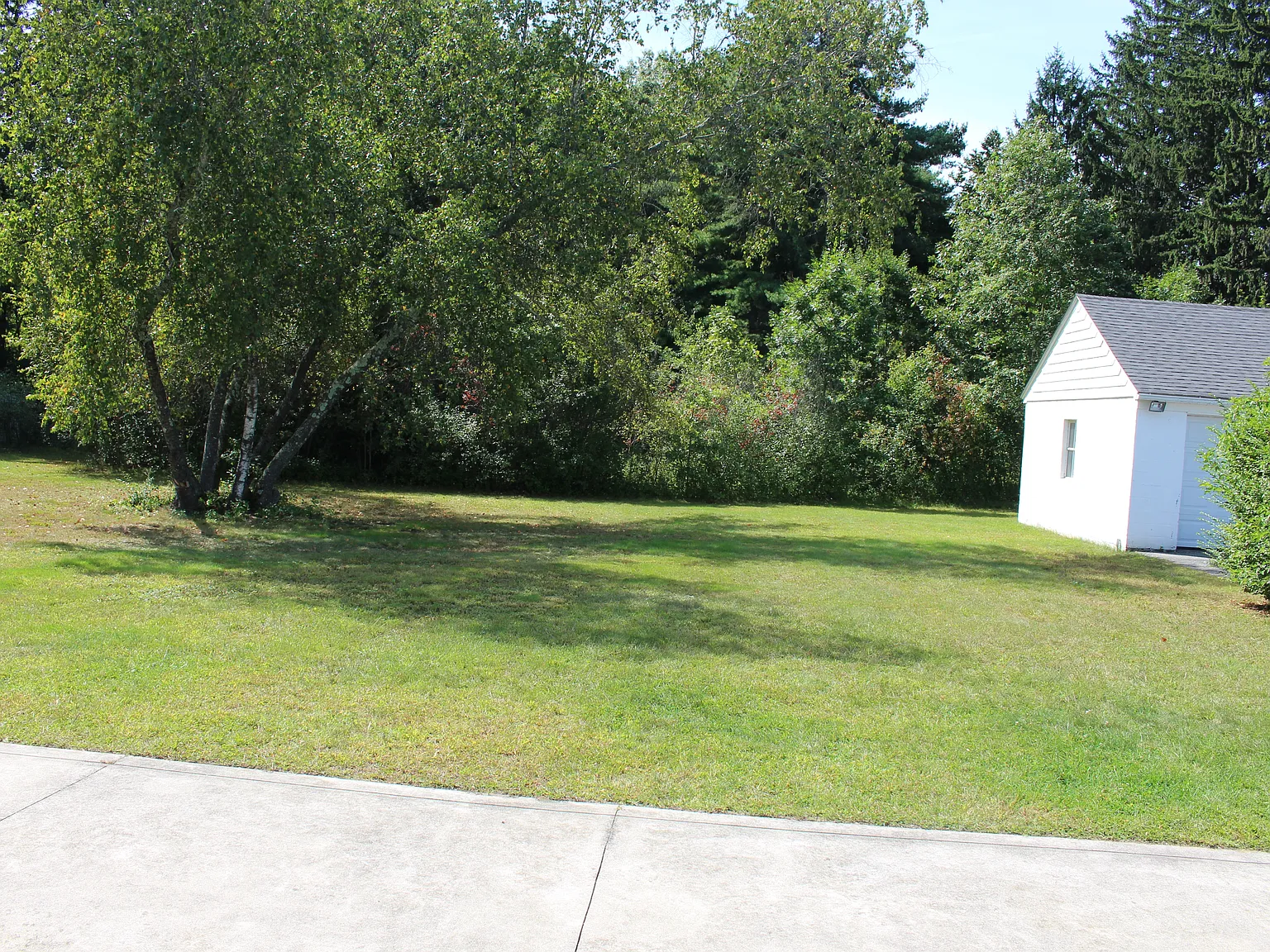 3 bed, 1502 sqft, $3,295 — Photo 4