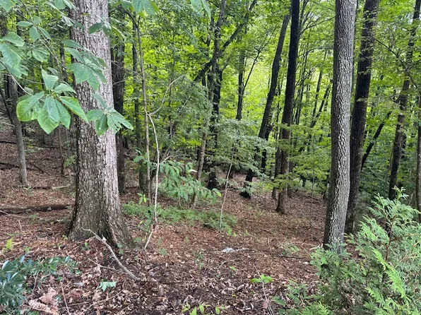 Lot 20 Rock Creek Ct Court, Sapphire, NC 28774