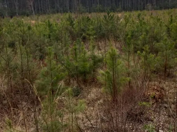 LOT 9 Saw Mill Ln, Gloucester, VA 23061
