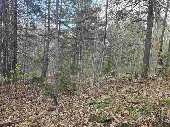 TBD Farrar Road, Chester, VT 05143