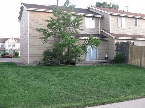 Backyard without any yardwork!