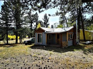 98 Neal Rd, Bailey, CO 80421