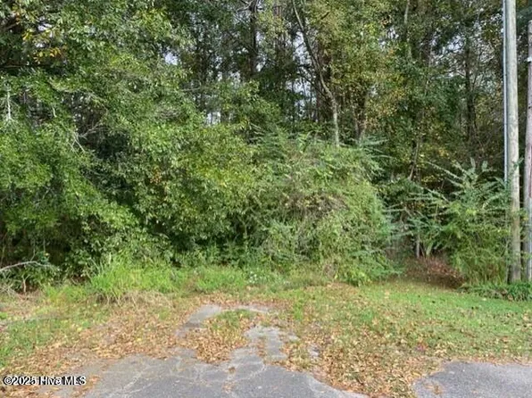 0 Near 715 E 1st Avenue, Chadbourn, NC 28431