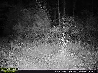 3rd image of N6452 12th Ave