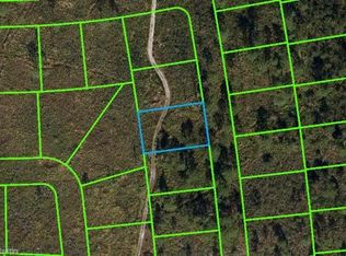 4305 Fettuccine Ave, Sebring, FL 33872