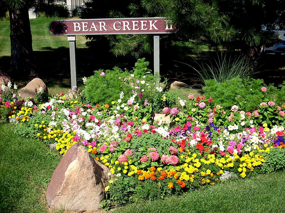 1st image of 1295 Bear Mountain Dr APT A