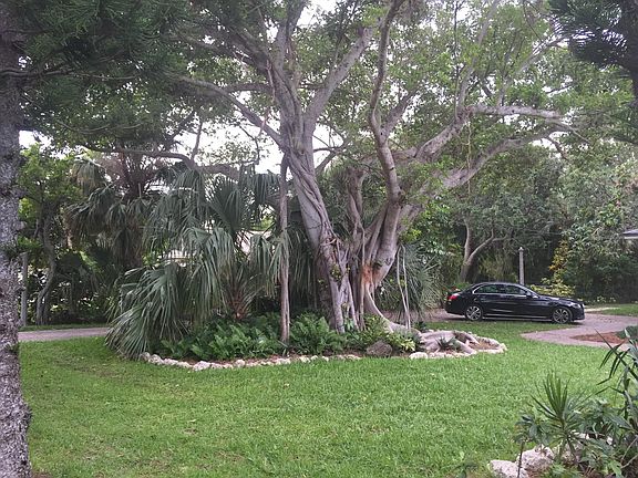Tropical view of front from house