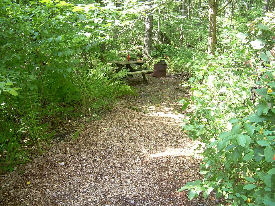 Picnic area next to brook