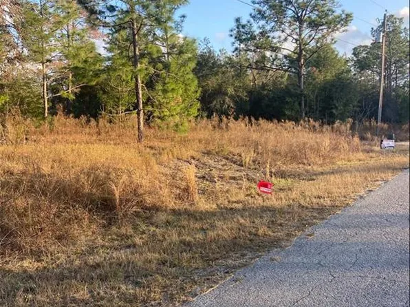 SW Gardenia Ct Lot 20, Dunnellon, FL 34431