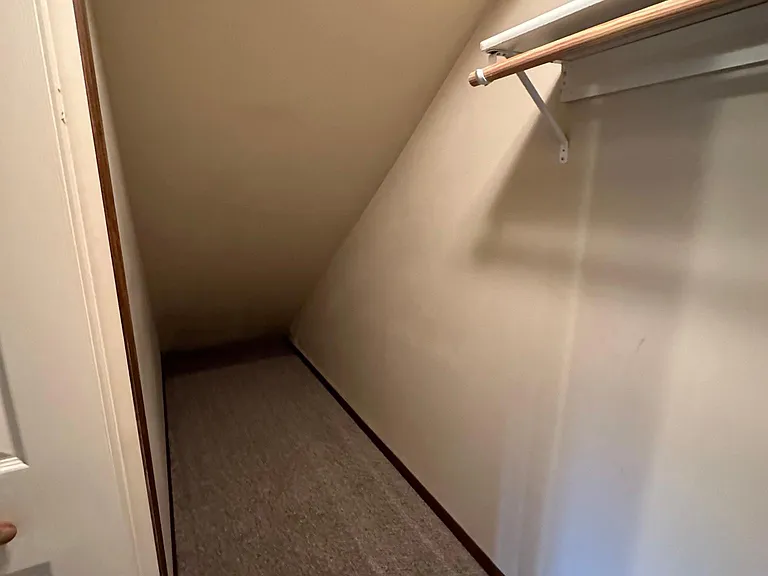 basement bedroom 1 closet